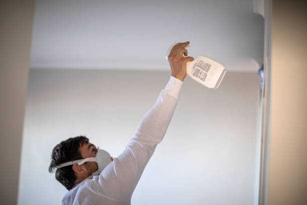 Best Attic Mold Removal  in Itasca, IL