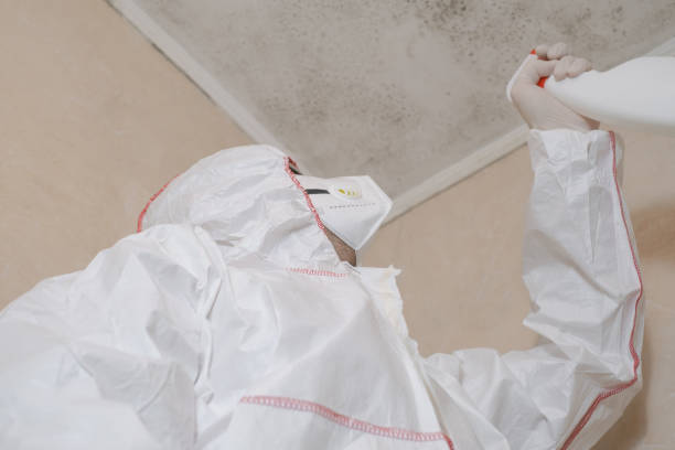 Best Mold Testing  in Itasca, IL